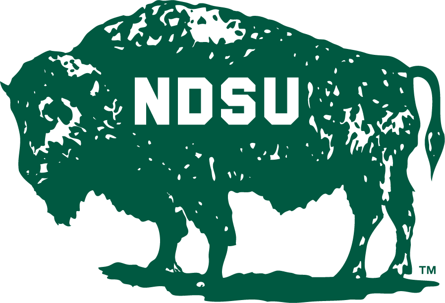 North Dakota State Bison 1965-1972 Primary Logo DIY iron on transfer (heat transfer)